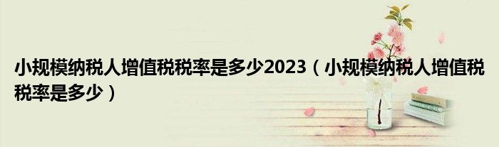 小规模纳税人增值税税率是多少2023（小规模纳税人增值税税率是多少）