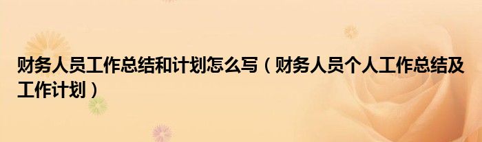 财务人员工作总结和计划怎么写（财务人员个人工作总结及工作计划）