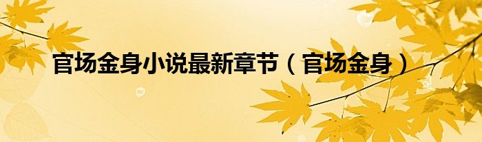 官场金身小说最新章节（官场金身）