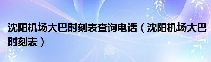 沈阳机场大巴时刻表查询电话（沈阳机场大巴时刻表）