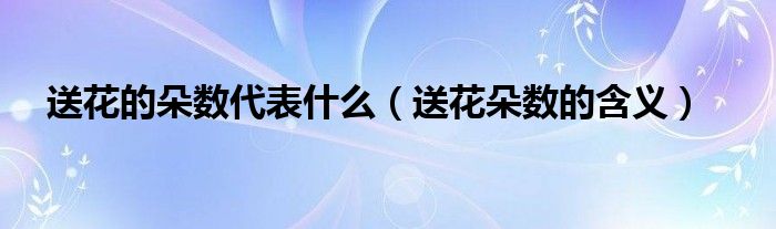 送花的朵数代表什么（送花朵数的含义）