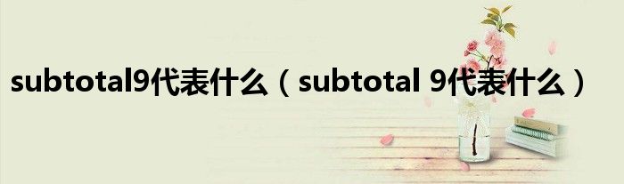 subtotal9代表什么（subtotal 9代表什么）