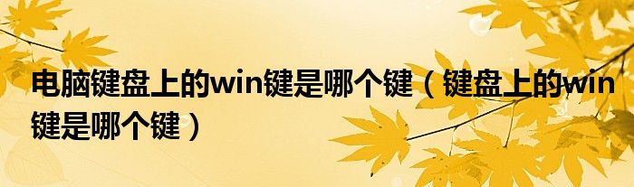 电脑键盘上的win键是哪个键（键盘上的win键是哪个键）