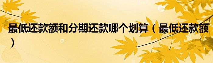 最低还款额和分期还款哪个划算（最低还款额）