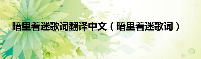 暗里着迷歌词翻译中文（暗里着迷歌词）