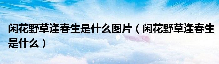 闲花野草逢春生是什么图片（闲花野草逢春生是什么）