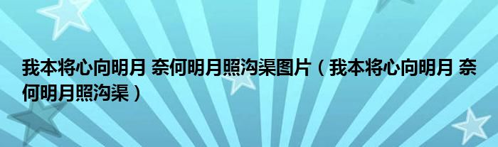 我本将心向明月 奈何明月照沟渠图片（我本将心向明月 奈何明月照沟渠）