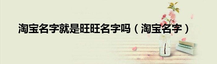 淘宝名字就是旺旺名字吗（淘宝名字）