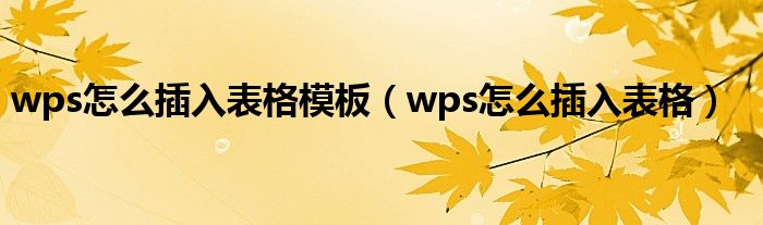 wps怎么插入表格模板（wps怎么插入表格）