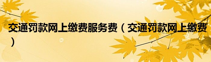 交通罚款网上缴费服务费（交通罚款网上缴费）