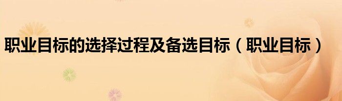 职业目标的选择过程及备选目标（职业目标）