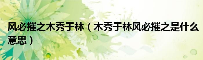 风必摧之木秀于林（木秀于林风必摧之是什么意思）