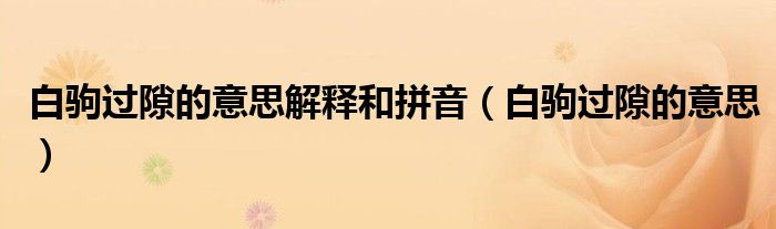 白驹过隙的意思解释和拼音（白驹过隙的意思）