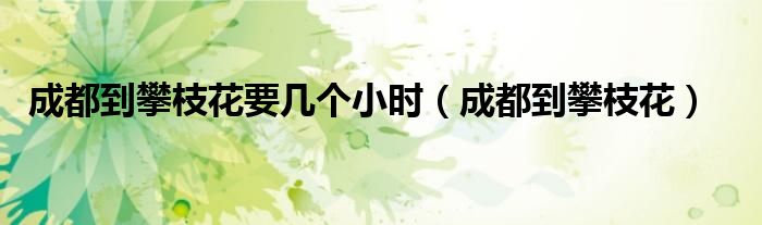 成都到攀枝花要几个小时（成都到攀枝花）