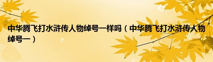 中华腾飞打水浒传人物绰号一样吗（中华腾飞打水浒传人物绰号一）