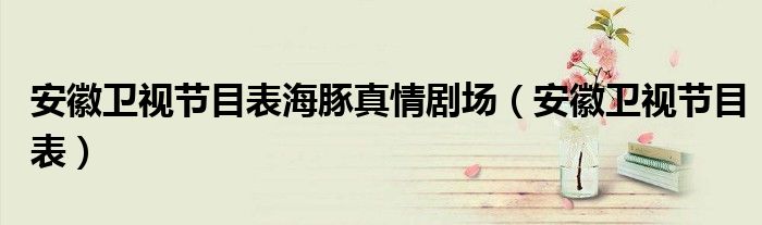 安徽卫视节目表海豚真情剧场（安徽卫视节目表）