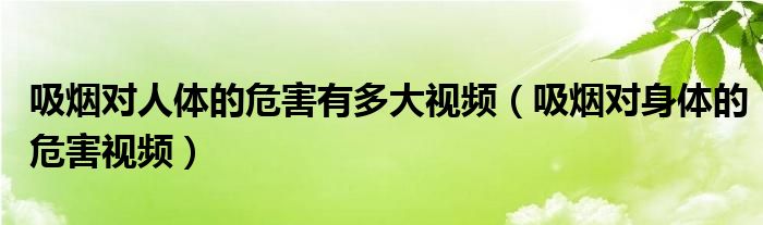 吸烟对人体的危害有多大视频（吸烟对身体的危害视频）