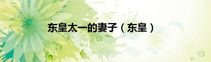 东皇太一的妻子（东皇）