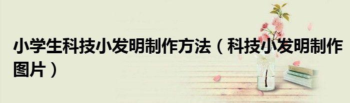 小学生科技小发明制作方法（科技小发明制作图片）