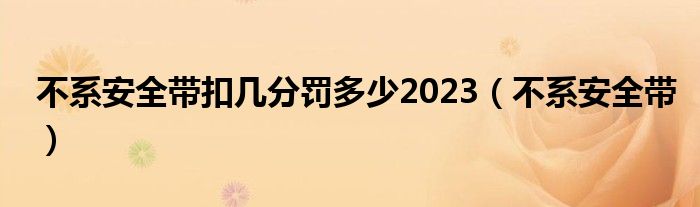 不系安全带扣几分罚多少2023（不系安全带）