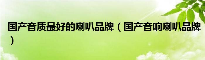 国产音质最好的喇叭品牌（国产音响喇叭品牌）