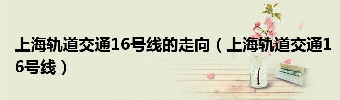 上海轨道交通16号线的走向（上海轨道交通16号线）