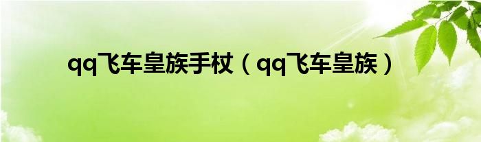 qq飞车皇族手杖（qq飞车皇族）