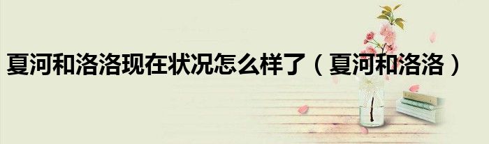 夏河和洛洛现在状况怎么样了（夏河和洛洛）