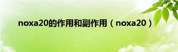 noxa20的作用和副作用（noxa20）