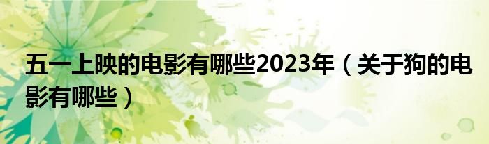 五一上映的电影有哪些2023年（关于狗的电影有哪些）