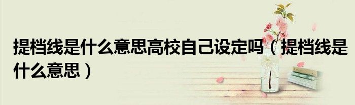 提档线是什么意思高校自己设定吗（提档线是什么意思）