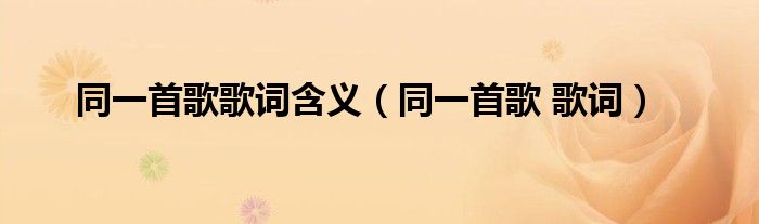 同一首歌歌词含义（同一首歌 歌词）