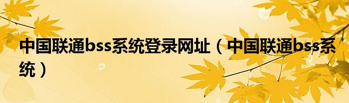 中国联通bss系统登录网址（中国联通bss系统）
