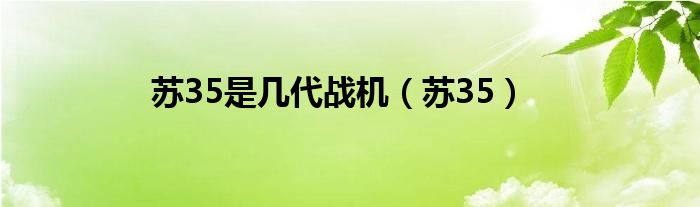 苏35是几代战机（苏35）