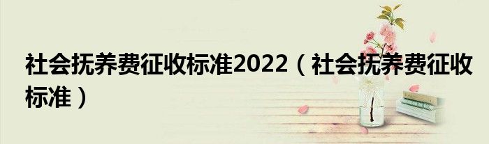社会抚养费征收标准2022（社会抚养费征收标准）