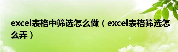 excel表格中筛选怎么做（excel表格筛选怎么弄）