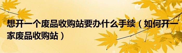 想开一个废品收购站要办什么手续（如何开一家废品收购站）