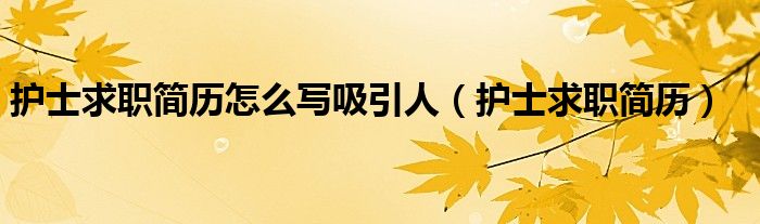 护士求职简历怎么写吸引人（护士求职简历）