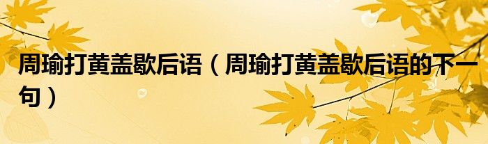 周瑜打黄盖歇后语（周瑜打黄盖歇后语的下一句）