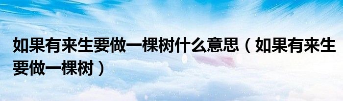 如果有来生要做一棵树什么意思（如果有来生要做一棵树）