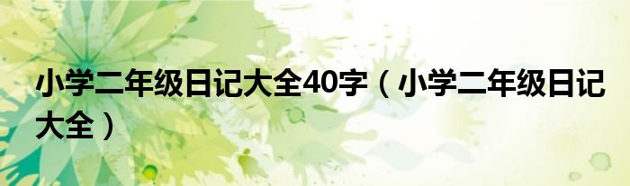 小学二年级日记大全40字（小学二年级日记大全）