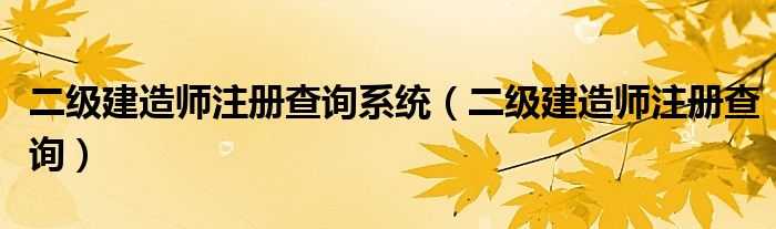 二级建造师注册查询系统（二级建造师注册查询）