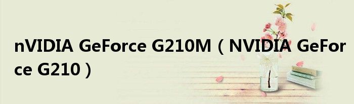 nVIDIA GeForce G210M（NVIDIA GeForce G210）
