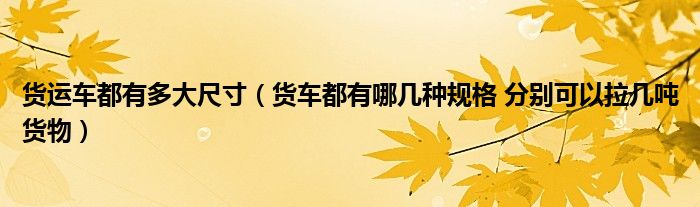货运车都有多大尺寸（货车都有哪几种规格 分别可以拉几吨货物）