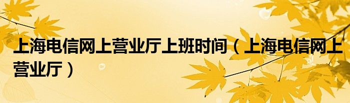上海电信网上营业厅上班时间（上海电信网上营业厅）