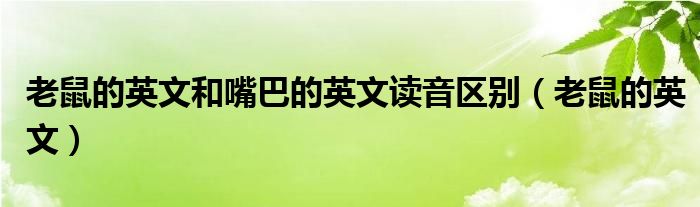 老鼠的英文和嘴巴的英文读音区别（老鼠的英文）