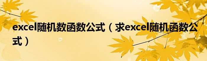 excel随机数函数公式（求excel随机函数公式）
