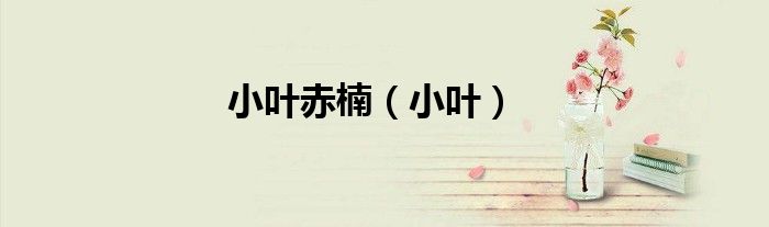 小叶赤楠（小叶）