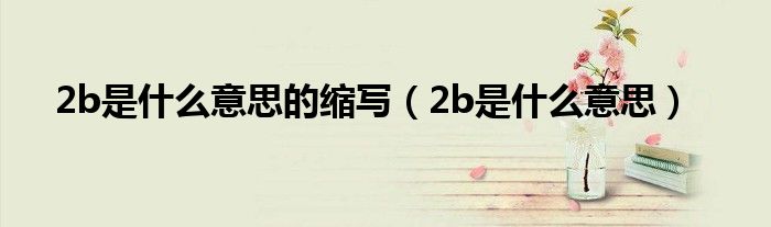 2b是什么意思的缩写（2b是什么意思）