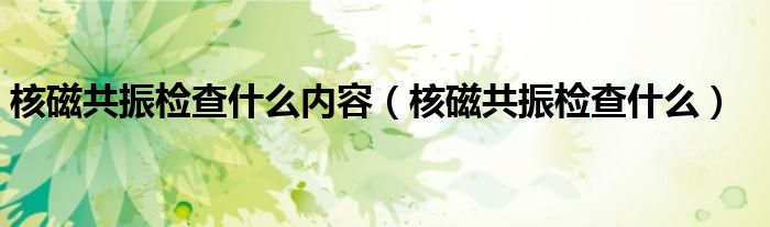 核磁共振检查什么内容（核磁共振检查什么）